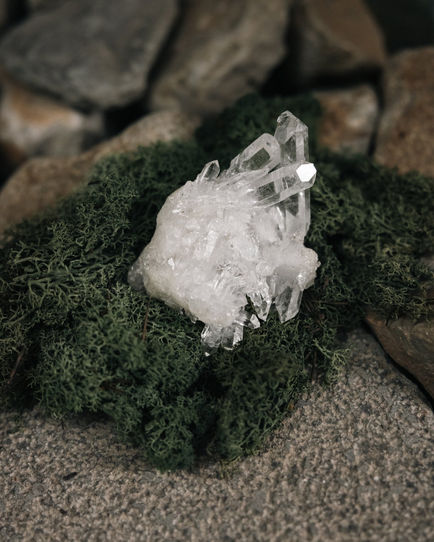 Wooden Base Series: Clear Quartz Cluster 白水晶簇