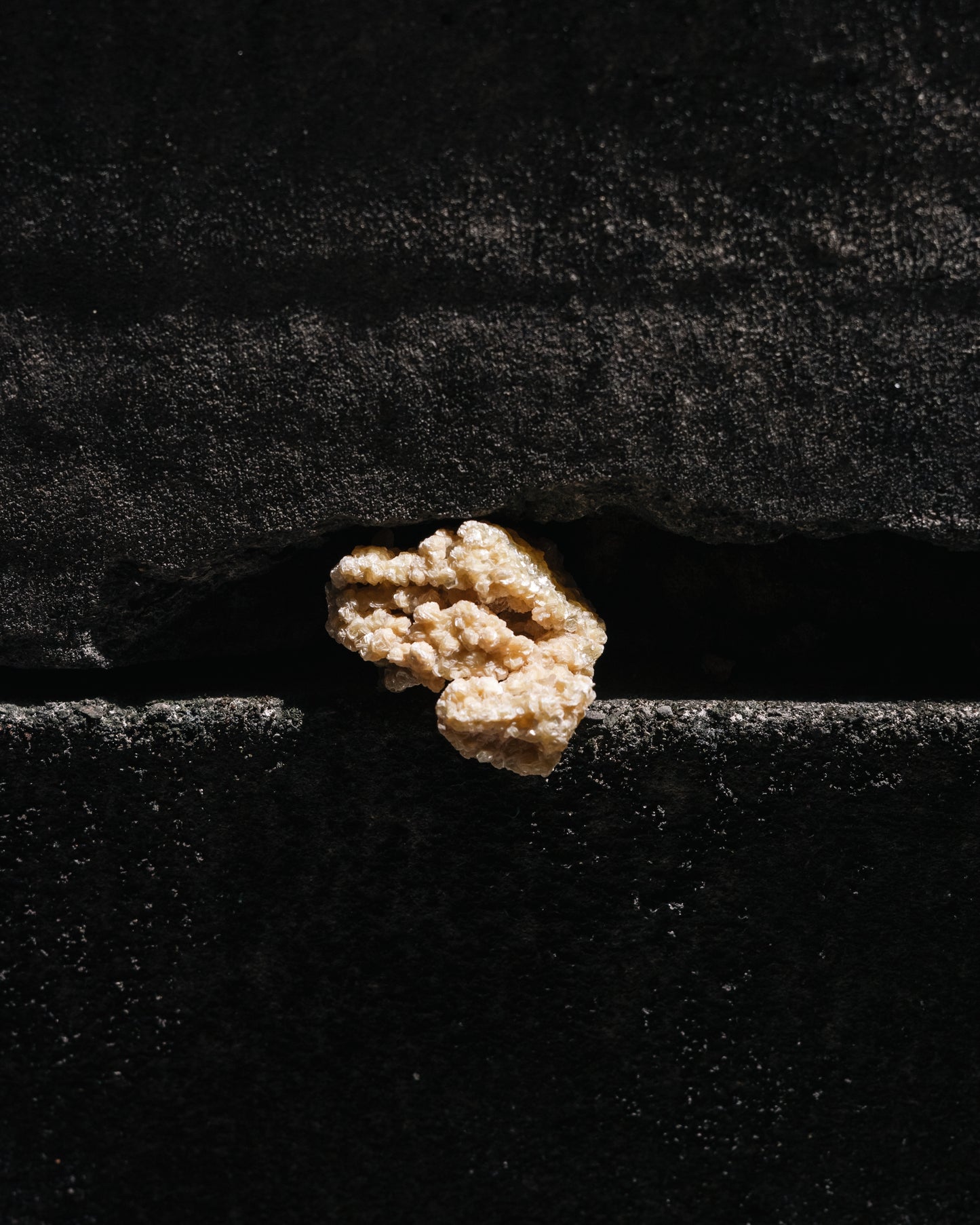 Wooden Base Series: Golden Mica 黃金雲母
