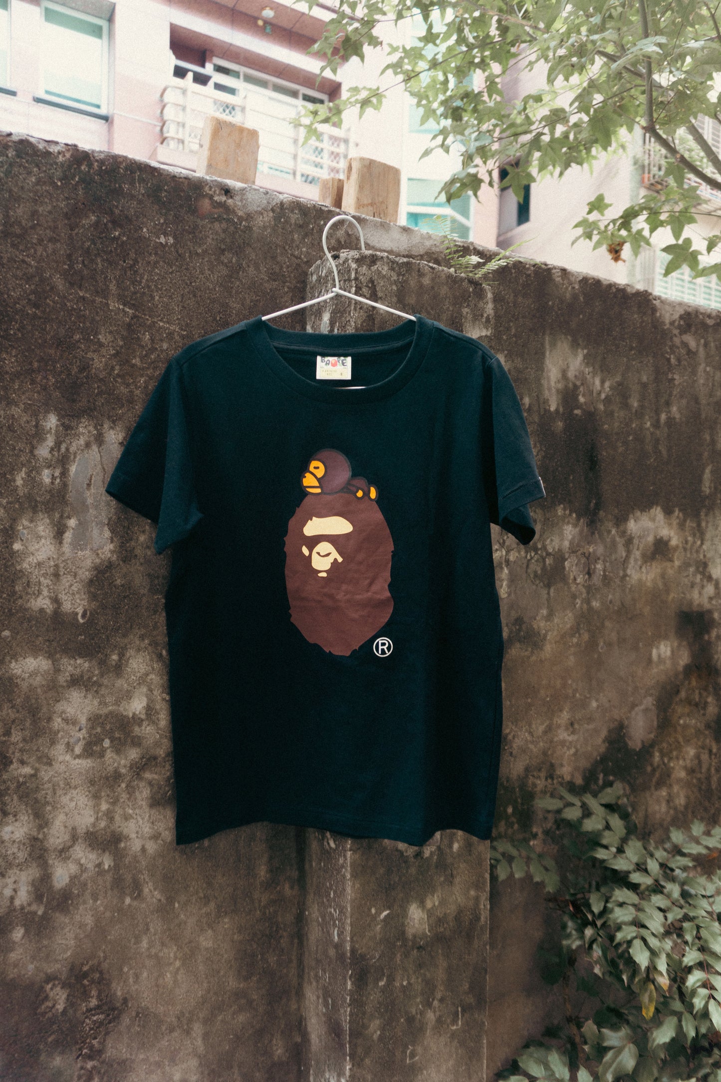 Hi-Five: BAPE Milo on Ape Head Tee