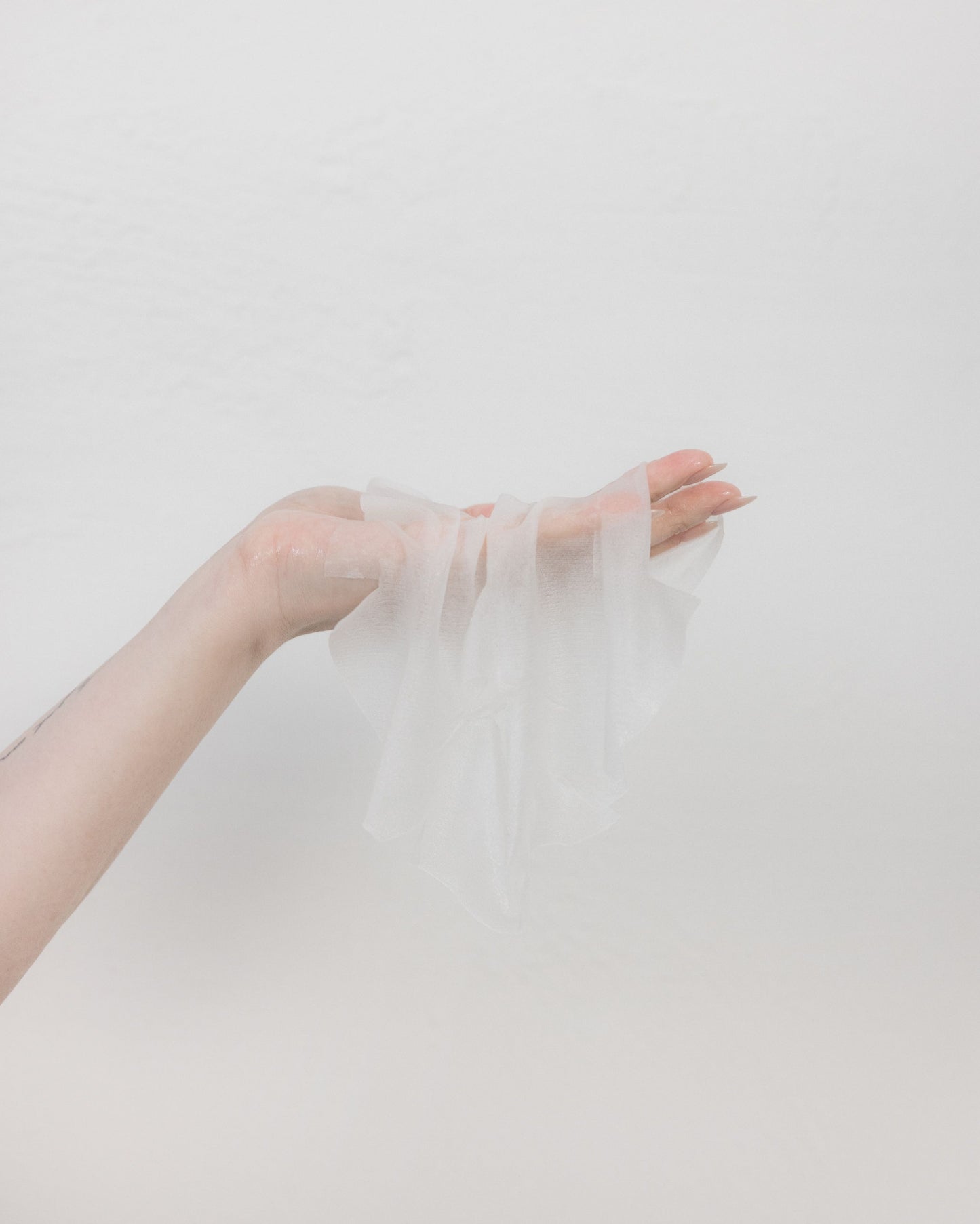 THE REPAIR MASK