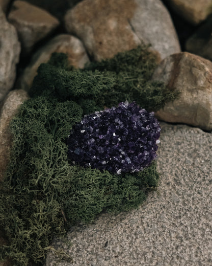 Wooden Base Series: Amethyst Cluster 紫水晶塊
