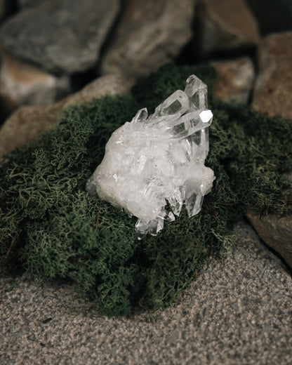 Wooden Base Series: Clear Quartz Cluster 白水晶簇