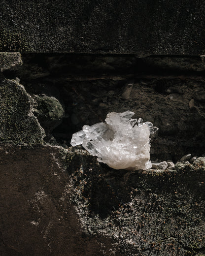 Wooden Base Series: Clear Quartz Cluster 白水晶簇